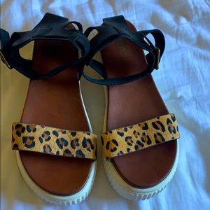 Cute mini platform sandals: Never been worn